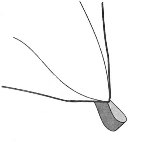 Serbatoio flessibile triangolarie bicamera per acqua potabile