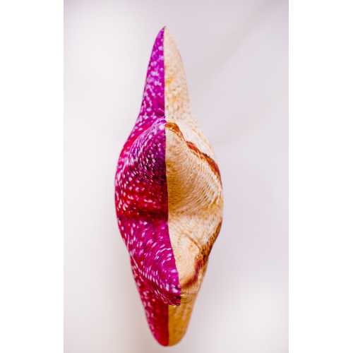 Cuscino d'arredo Stella marina