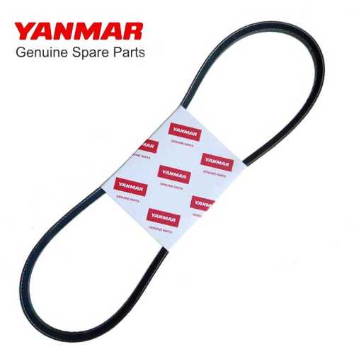 Cinghia alternatore Yanmar 2GM20YEU 3GM30YEU