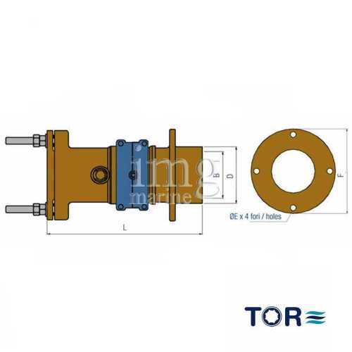 Testa premitreccia rigida disegno