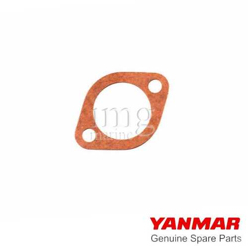 Guarnizione termostato e anodo Yanmar