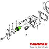 Termostato Yanmar disegno