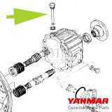 Astina olio trasmissione Yanmar