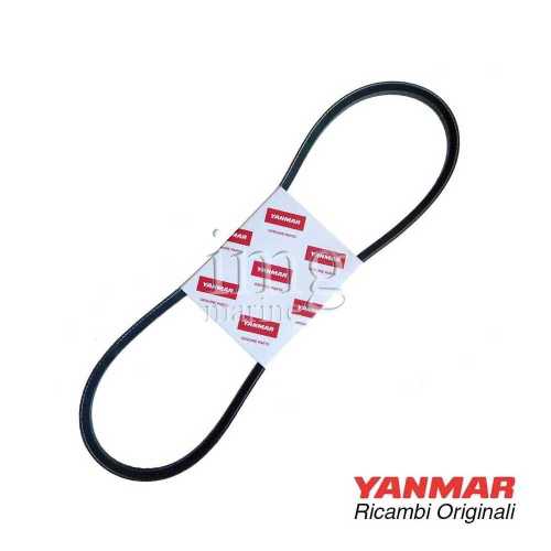 Cinghia motori Yanmar 3YM30AE