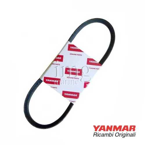 Cinghia pompa acqua per motore 3YM30AE