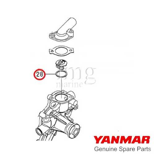 O-ring termostato JHE/TE disegno