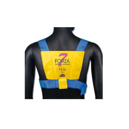 Cintura di sicurezza Forza 7 retro