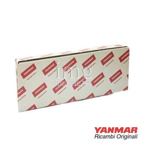 Kit usura ricambi pompa AM Yanmar 4LHA