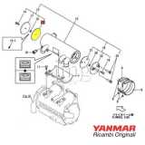 Guarnizione scambiatore olio/acqua Yanmar esploso