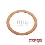 Rondella precamera iniettori serie GM