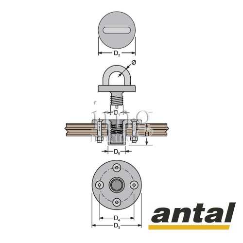 Golfare a vite Antal disegno