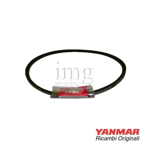 Cinghia di Distribuzione 6LPA-DTE