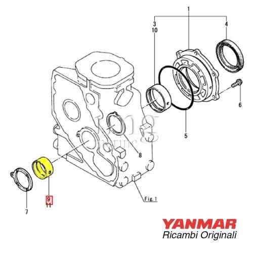 Bronzina banco motore serie GM disegno