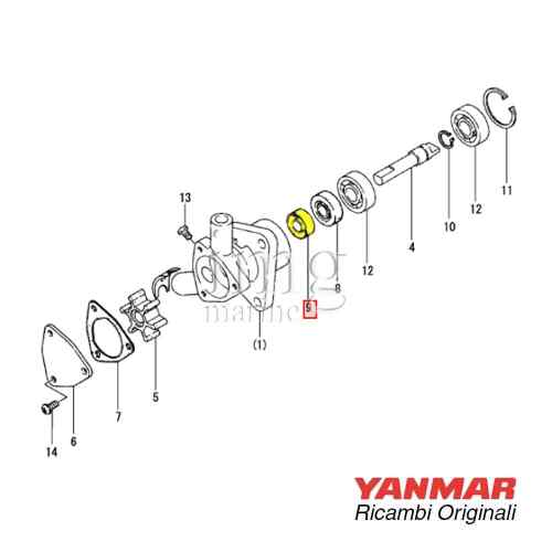 Paraolio pompa Yanmar 1GM10