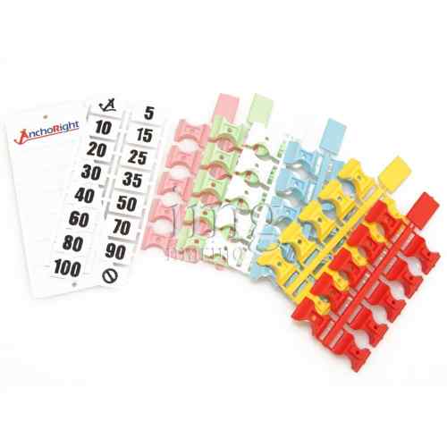 Segnacatena AnchoRight