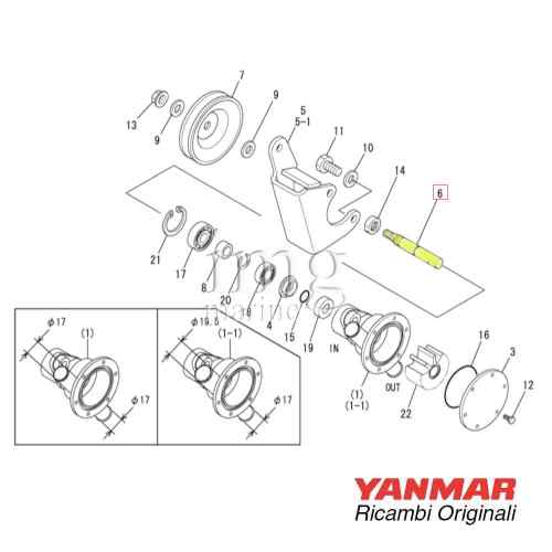 Alberino X0146541 pompa AM Yanmar GM YM