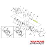Alberino X0146541 pompa AM Yanmar GM YM