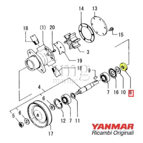 Paraolio pompa raffreddamento124223-42080 3GM30