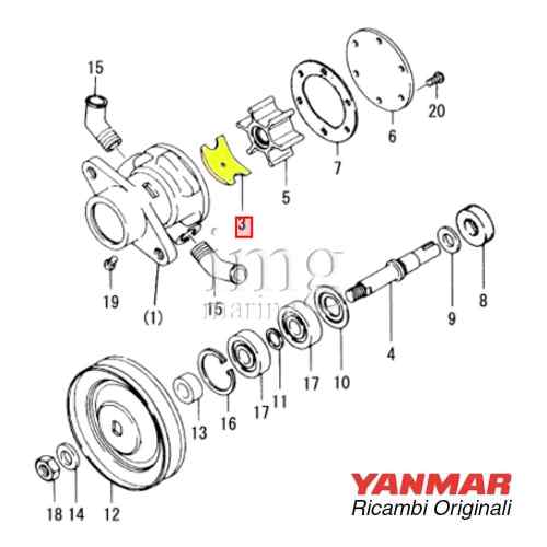 Camma pompa AM serie GM