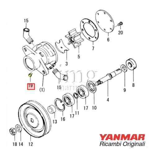 Vite pompa acqua serie GM