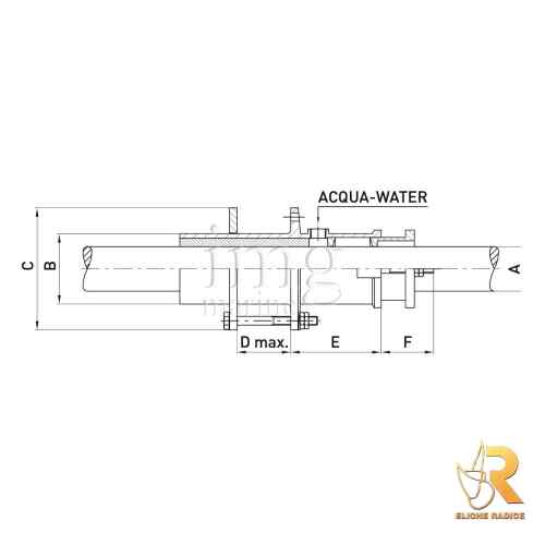 Testa Prodiera Rigida Radice - Disegno