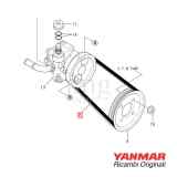 Cinghia Yanmar per pompa servosterzo 6LP-STZE 6LP-DTZE Y- 6LPA-STZE - 6LPA-DTZE(P)