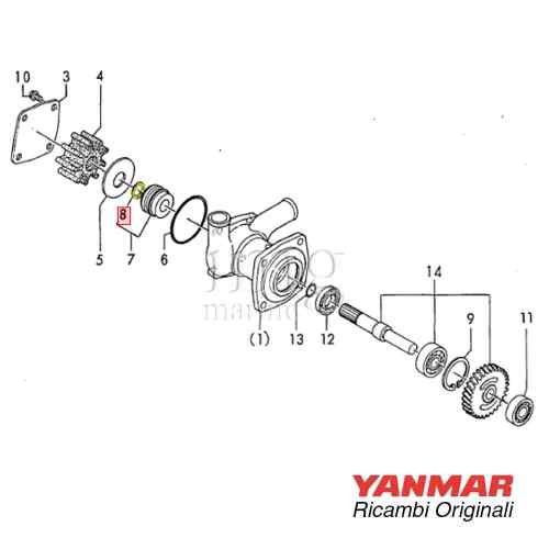 Anello di arresto tenuta pompa AM 4JH