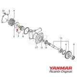 Anello di arresto tenuta pompa AM 4JH