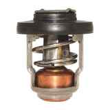 Termostato per Mercury 4862042