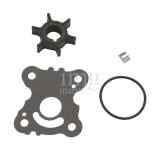 Kit Riaparazione Pompa Piede Honda 4864417