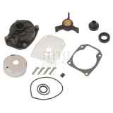 Kit Riparazione Pompa/Piede motori Johnson 5000308