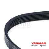 Cinghia alternatore 3YM30AE Yanmar