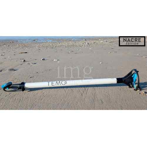 Motore elettrico Temo 450 Nacrè