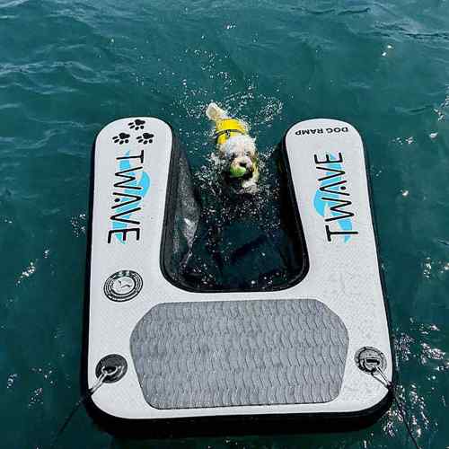 Rampa per cani Gonfiabile T-Wave