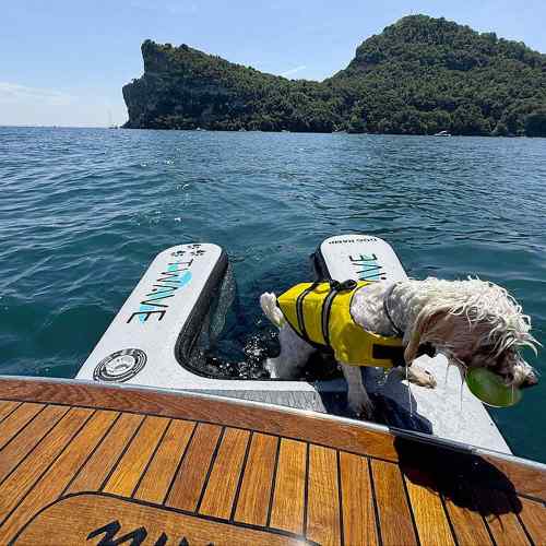 Rampa per cani Gonfiabile T-Wave esempio
